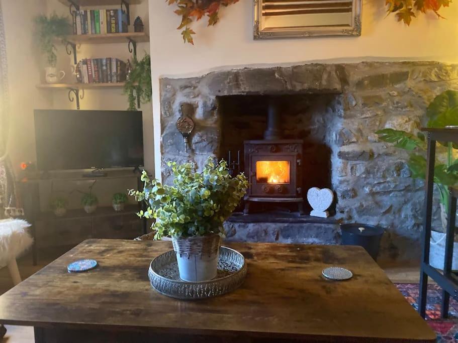 Holiday home Maytree Cottage. Compact In Mid Wales.